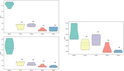 Computational approaches for evaluating morphological changes in the corneal stroma associated with decellularization